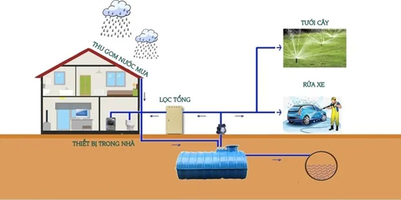 Cách sử dụng nước mưa an toàn